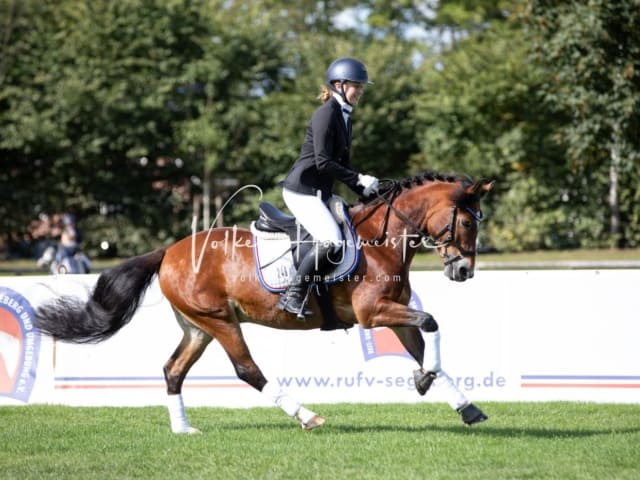 Landesponyturnier Sonntag 2