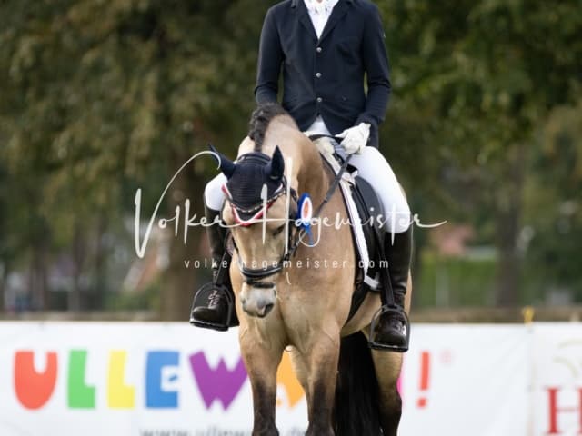 Landesponyturnier Samstag 5