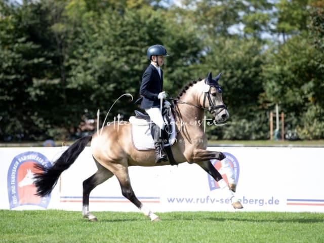 Landesponyturnier Sonntag 8