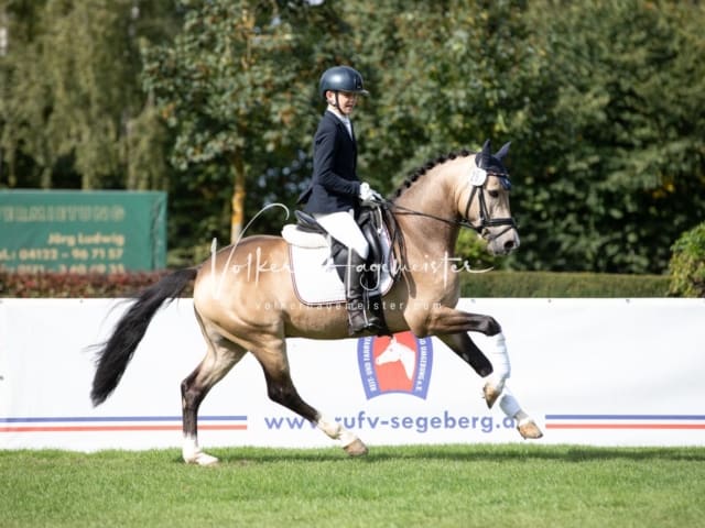 Landesponyturnier Sonntag 9