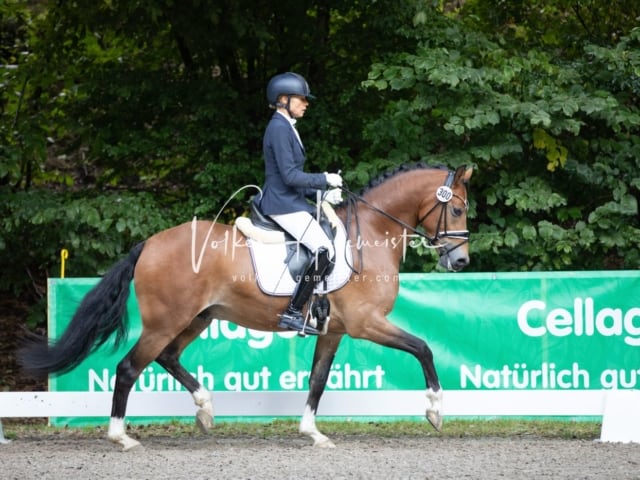 Landesponyturnier Samstag 6