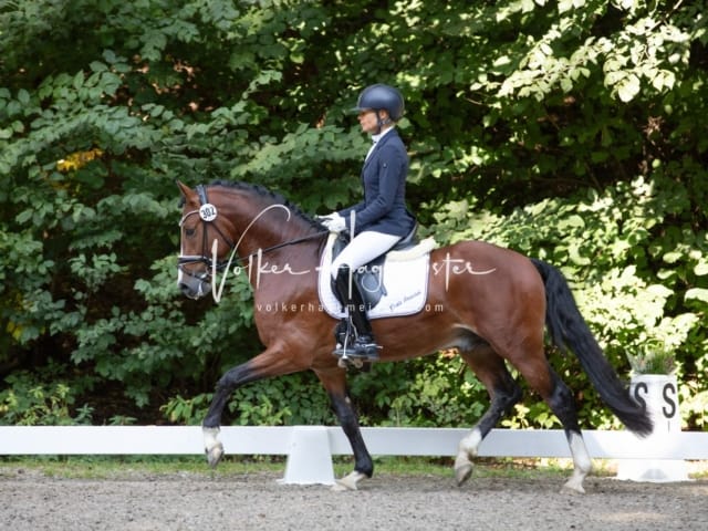 Landesponyturnier Samstag 7