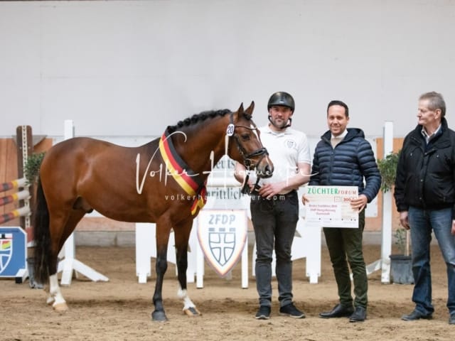 ZfdP Kranichstein Spezialrassen + Reitponys 1