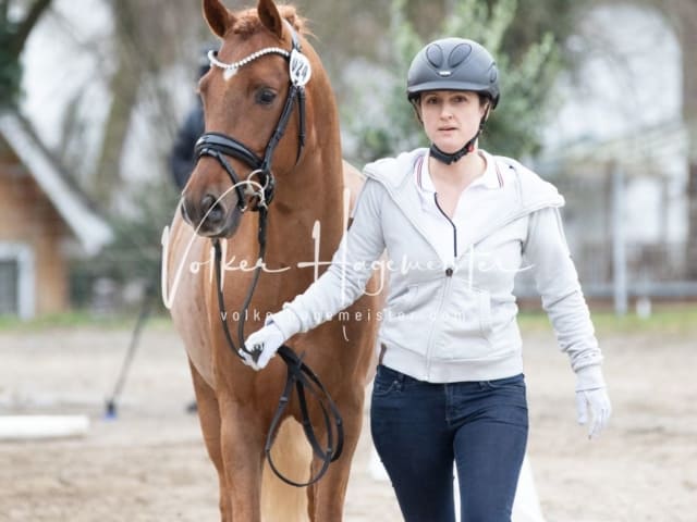 ZfdP Kranichstein Spezialrassen + Reitponys 3