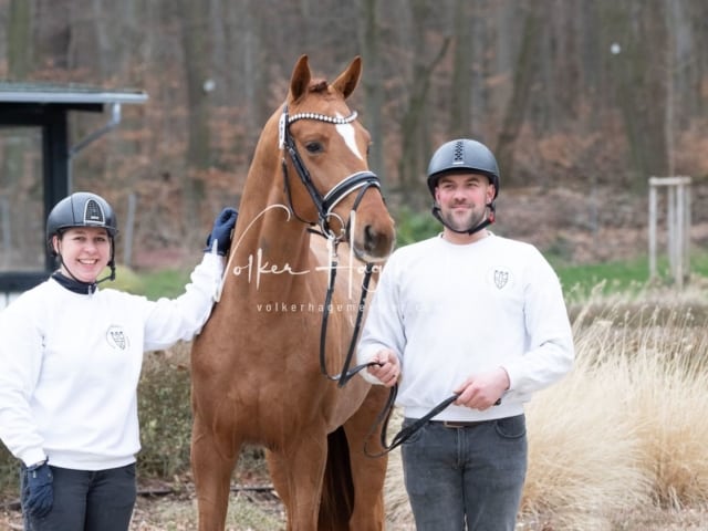 ZfdP Kranichstein Reitpferde 20