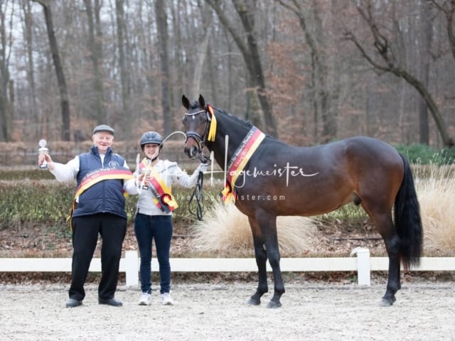 ZfdP Kranichstein Spezialrassen + Reitponys 24