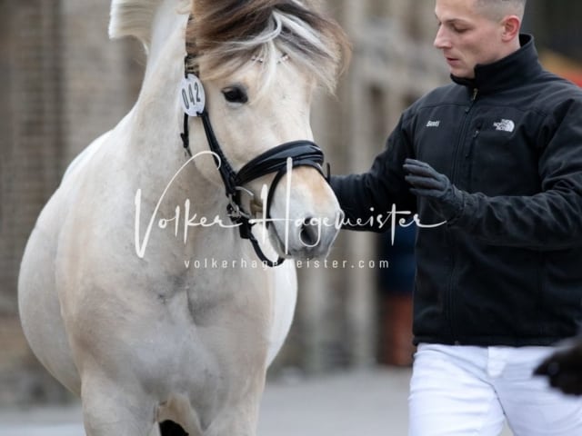 Anfragen PSB Körung 5