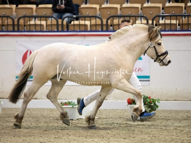 Anfragen PSB Körung 15