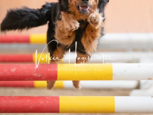 ZfdP Kranichstein Menschen + Emotionen 5