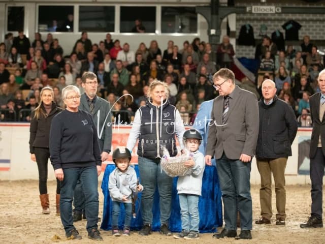 PSB Körung Siegerhengste Impressionen 6