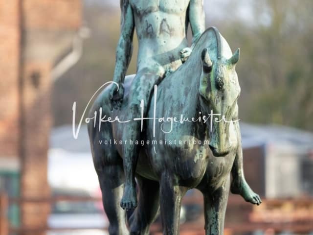 ZfdP Kranichstein Reitpferde 22