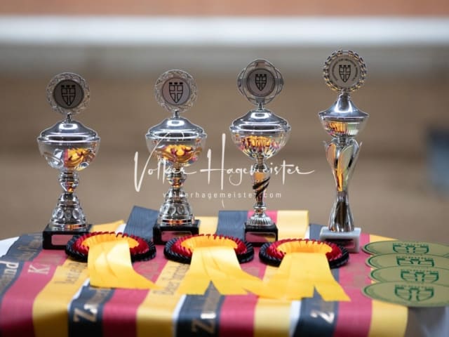 ZfdP Kranichstein Reitpferde 23