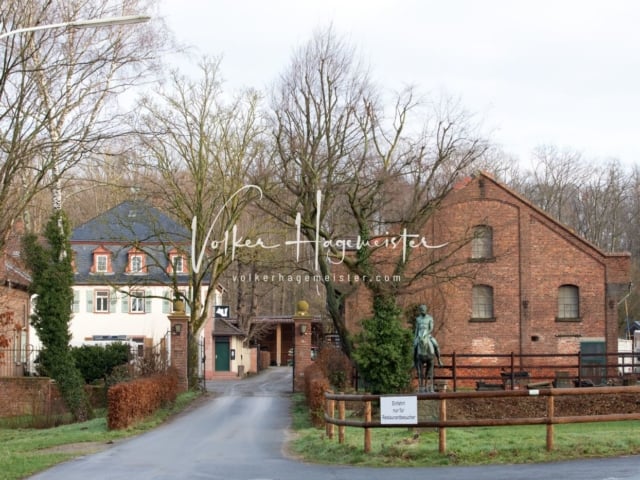 ZfdP Kranichstein Reitpferde 25