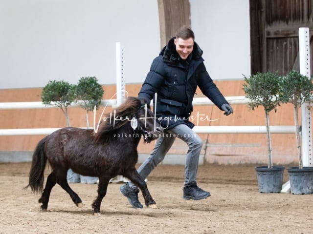 ZfdP Kranichstein Spezialrassen + Reitponys 27