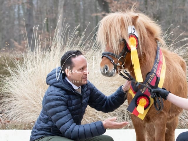 ZfdP Kranichstein Spezialrassen + Reitponys 17