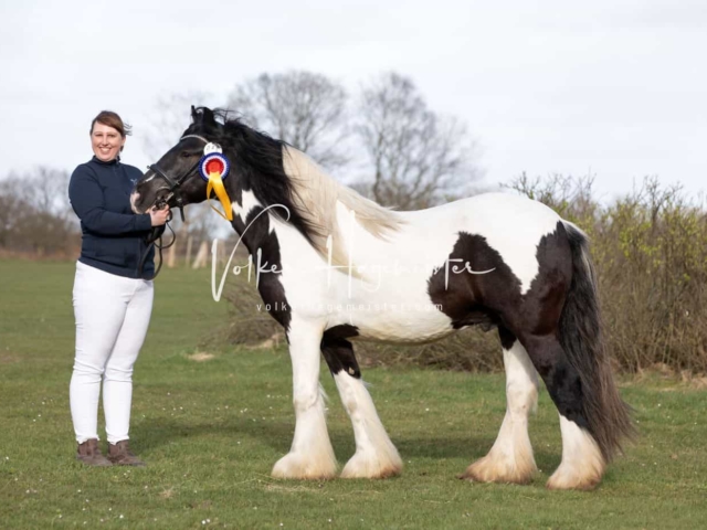 Impressionen PSB Nachkörung 5