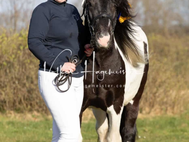 Impressionen PSB Nachkörung 6