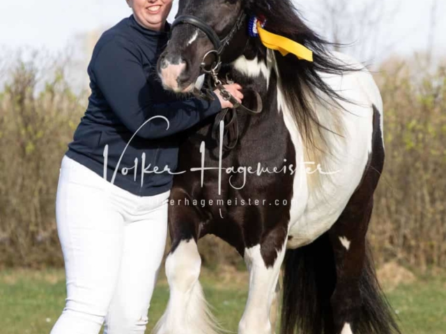 Impressionen PSB Nachkörung 8