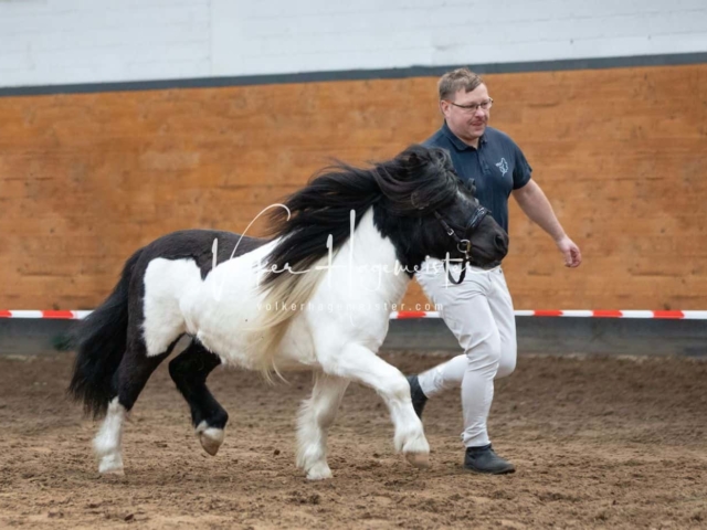 Impressionen PSB Nachkörung 9
