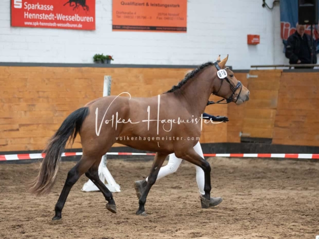 Impressionen PSB Nachkörung 20