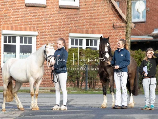 Impressionen PSB Nachkörung 23