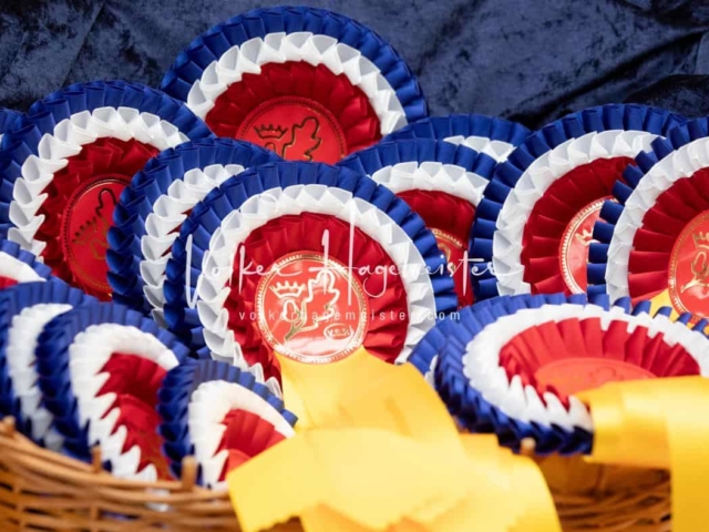 Impressionen PSB Nachkörung 25