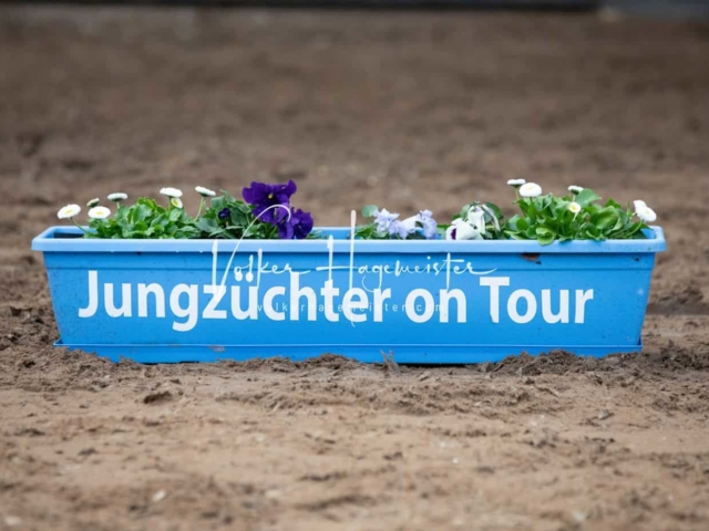 Impressionen PSB Nachkörung 26