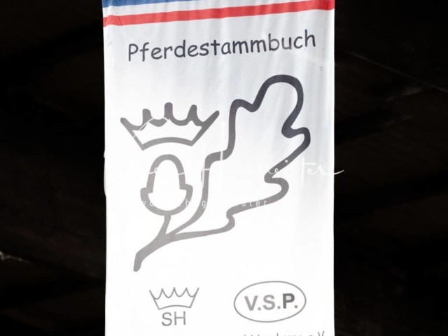 Impressionen PSB Nachkörung 27