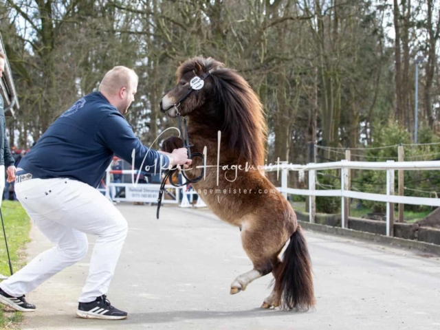 Impressionen PSB Nachkörung 28