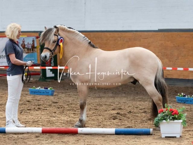Impressionen PSB Nachkörung 30