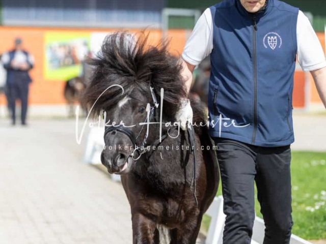 Impressionen ZfdP Frühjahrskörung 2