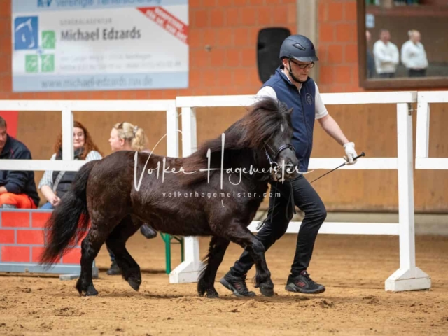 Impressionen ZfdP Frühjahrskörung 4