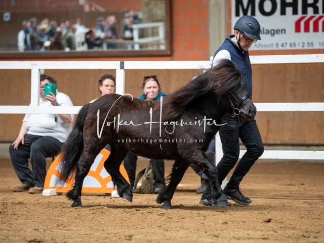Impressionen ZfdP Frühjahrskörung 5