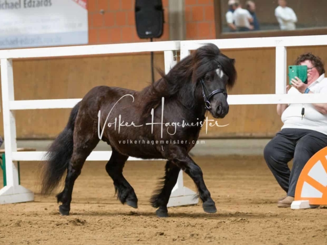 Impressionen ZfdP Frühjahrskörung 7