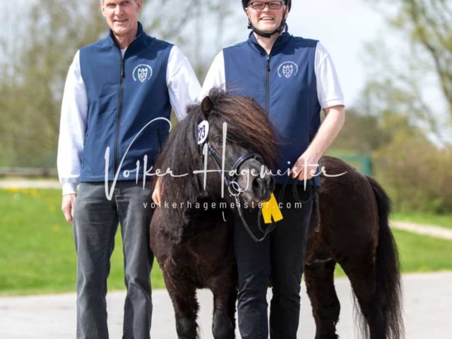 Impressionen ZfdP Frühjahrskörung 16