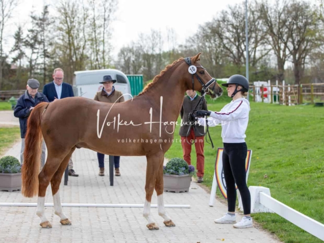 Impressionen ZfdP Frühjahrskörung 19