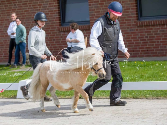 Impressionen ZfdP Frühjahrskörung 22