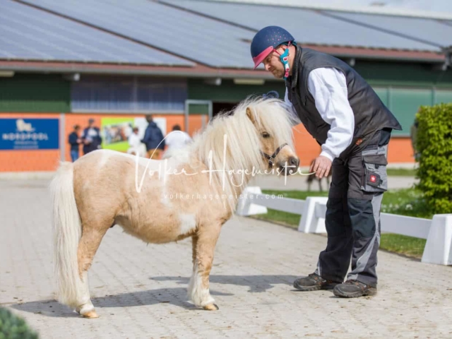 Impressionen ZfdP Frühjahrskörung 23