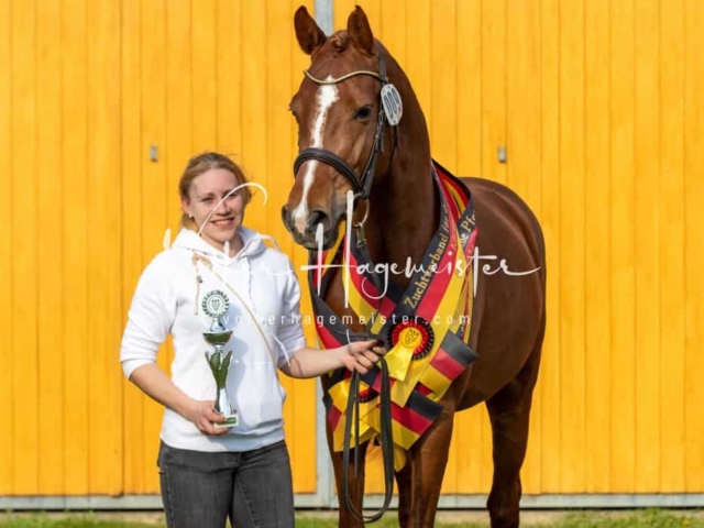 Impressionen ZfdP Frühjahrskörung 29