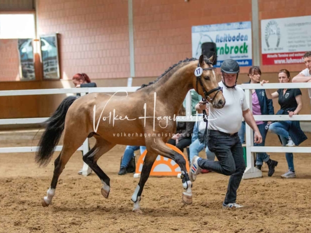 Impressionen ZfdP Frühjahrskörung 5