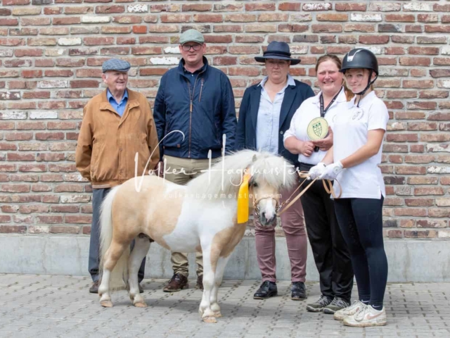 Impressionen ZfdP Sommerkörung 3