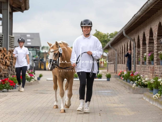 Impressionen ZfdP Sommerkörung 5