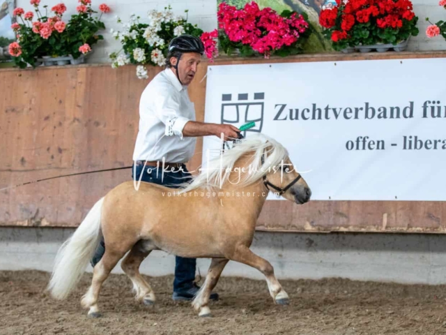 Impressionen ZfdP Sommerkörung 8