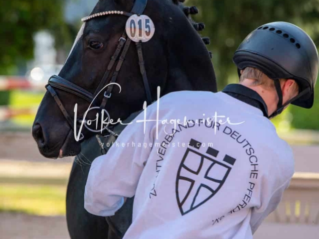 ZfdP Körung Verden 20