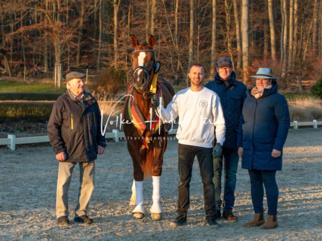 ZfdP Körung Kranichstein Deutsches Pferd 1