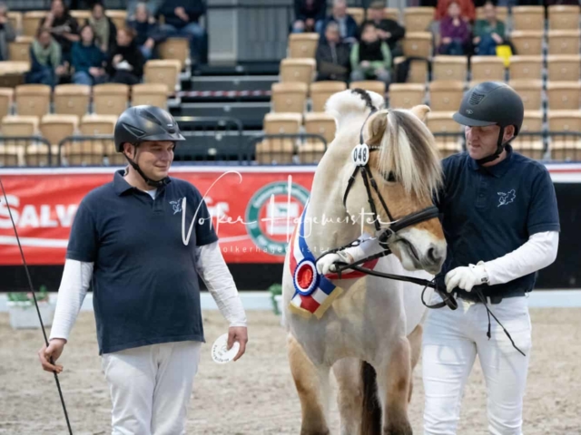 PSB Körung Sieger mehr folgt 11