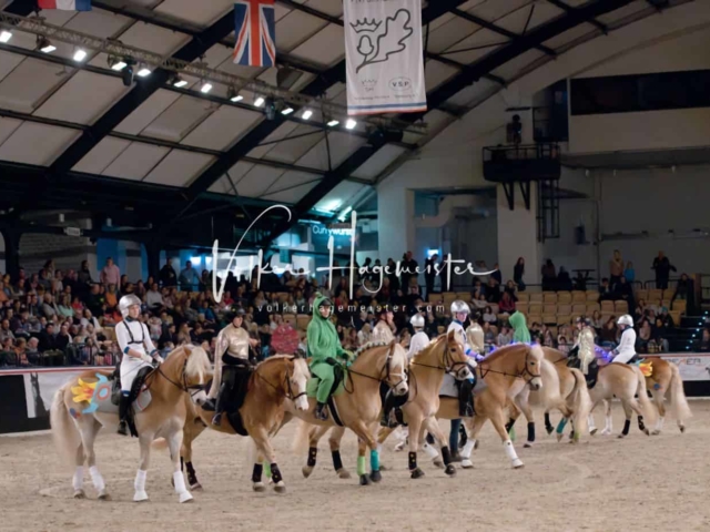 PSB Schaunachmittag 2