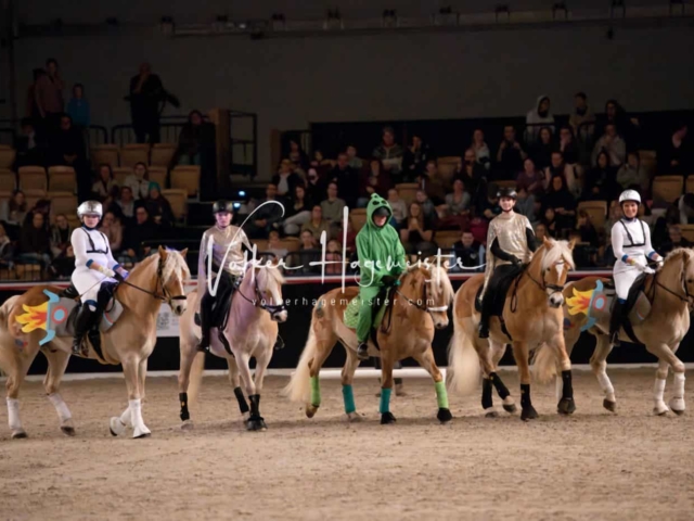 PSB Schaunachmittag 3