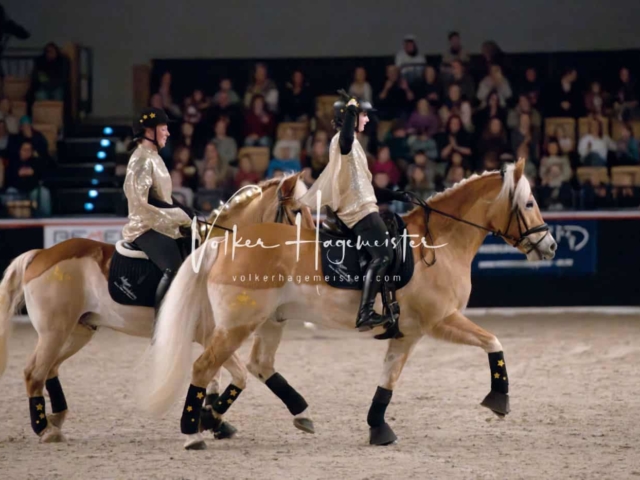 PSB Schaunachmittag 4