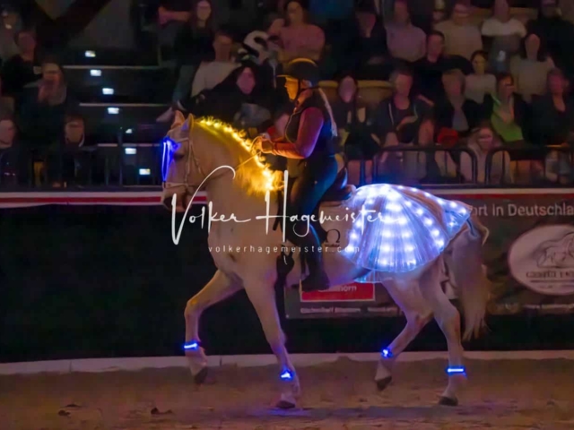 PSB Schaunachmittag 6